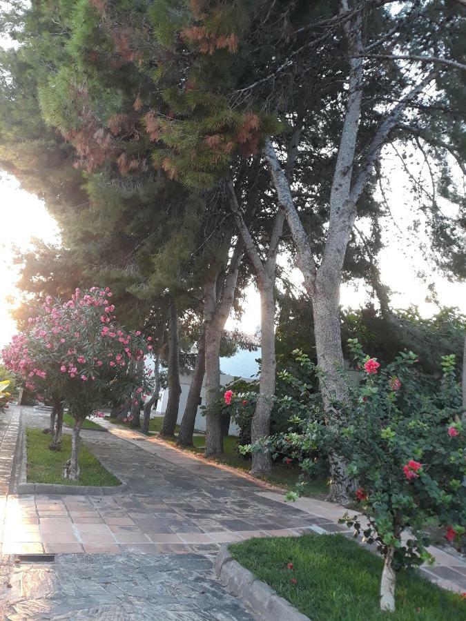 En Urbanizacion Residencial Apartament Nerja